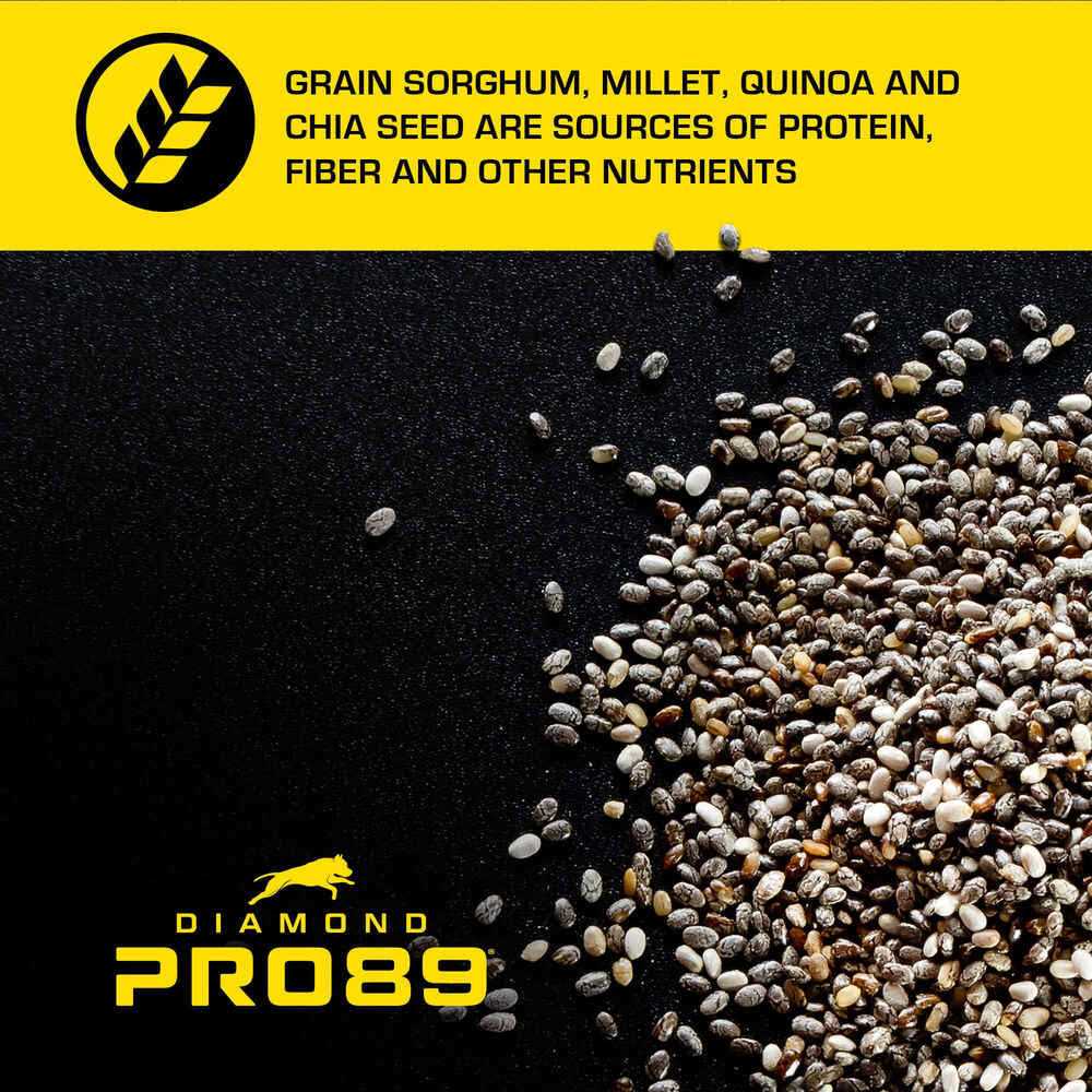 Diamond Pro89 Beef Pork &amp; Ancient Grains Formula Adult Dog Food - Pet Supplies online store