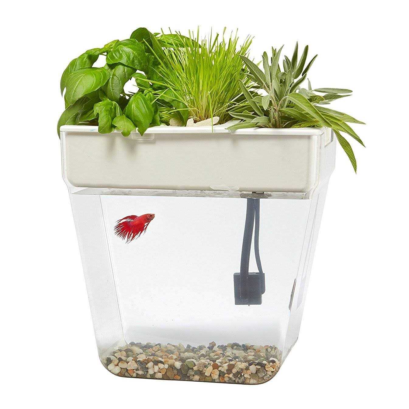 Back to the Roots Water Garden - Pet Supplies online store
