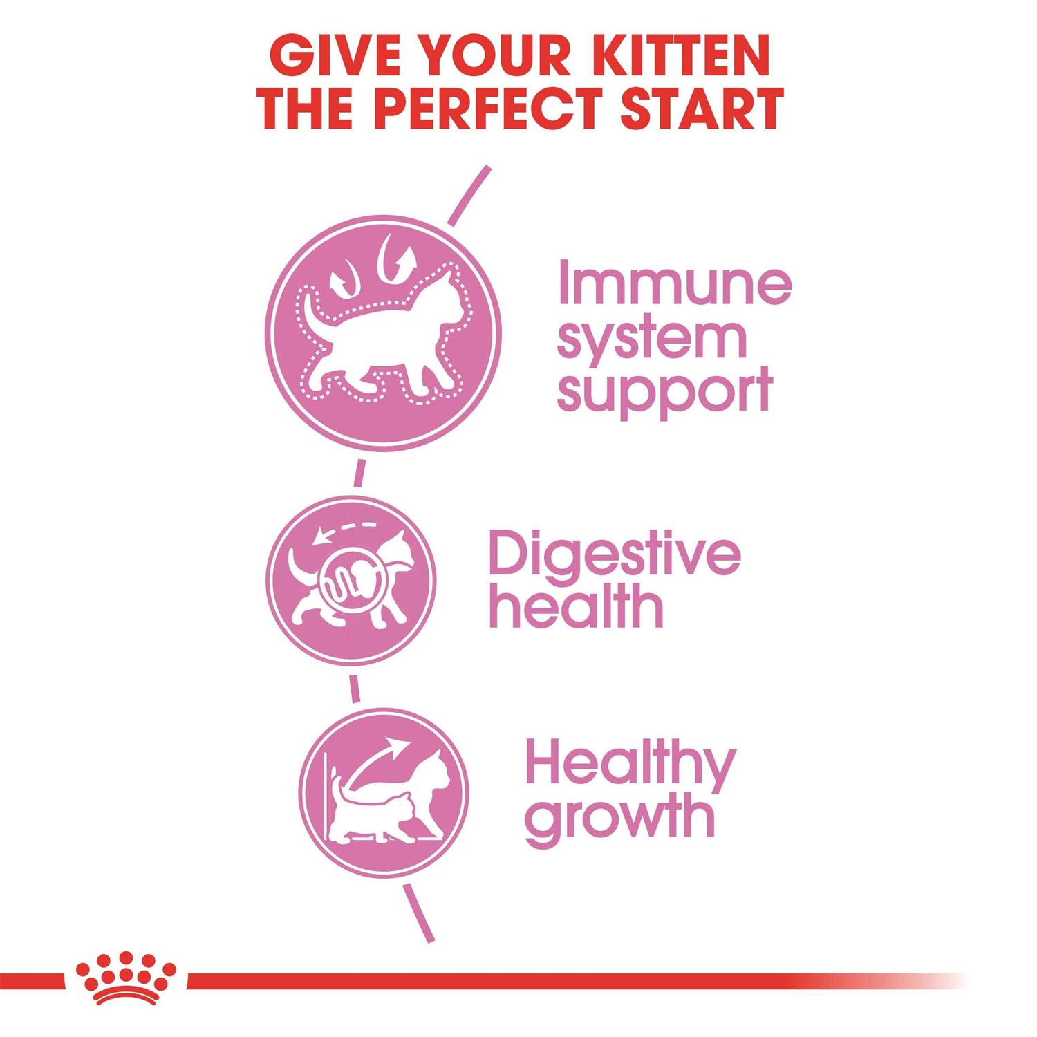 Royal Canin Feline Health Nutrition Kitten Dry Cat Food - Pet Supplies online store