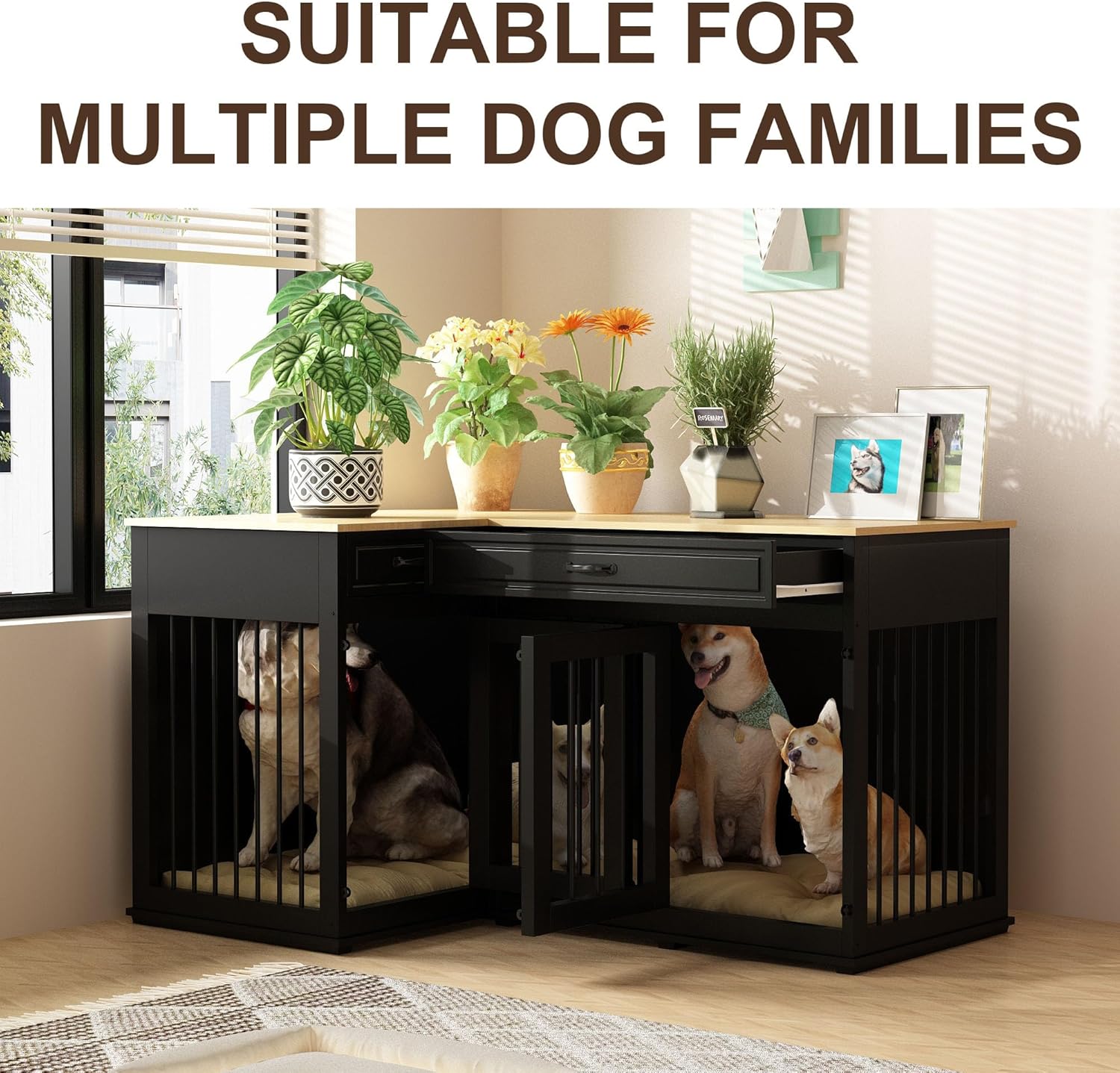 Large Corner Dog Crate Furniture for 2 Dogs, 51" Indoor Wooden Furniture Style Dog Kennel House with Double Rooms, Drawers & Divider for Large & Medium Dogs, Black