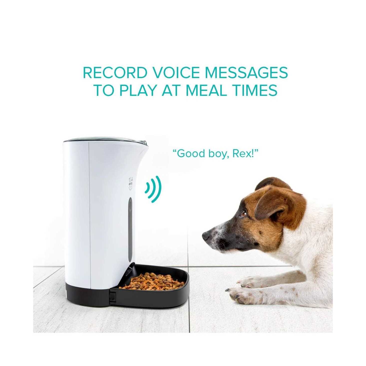 Arf Pets Automatic Pet Feeder Food Dispenser for Dogs - Pet Supplies online store