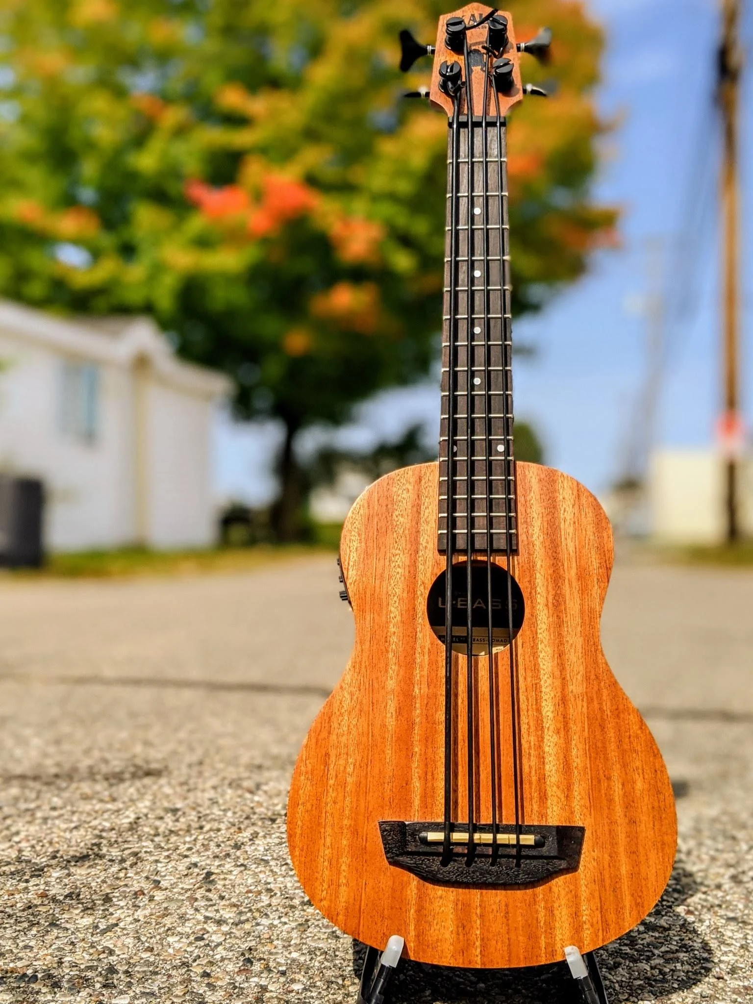 Kala Nomad Acoustic Electric U-Bass