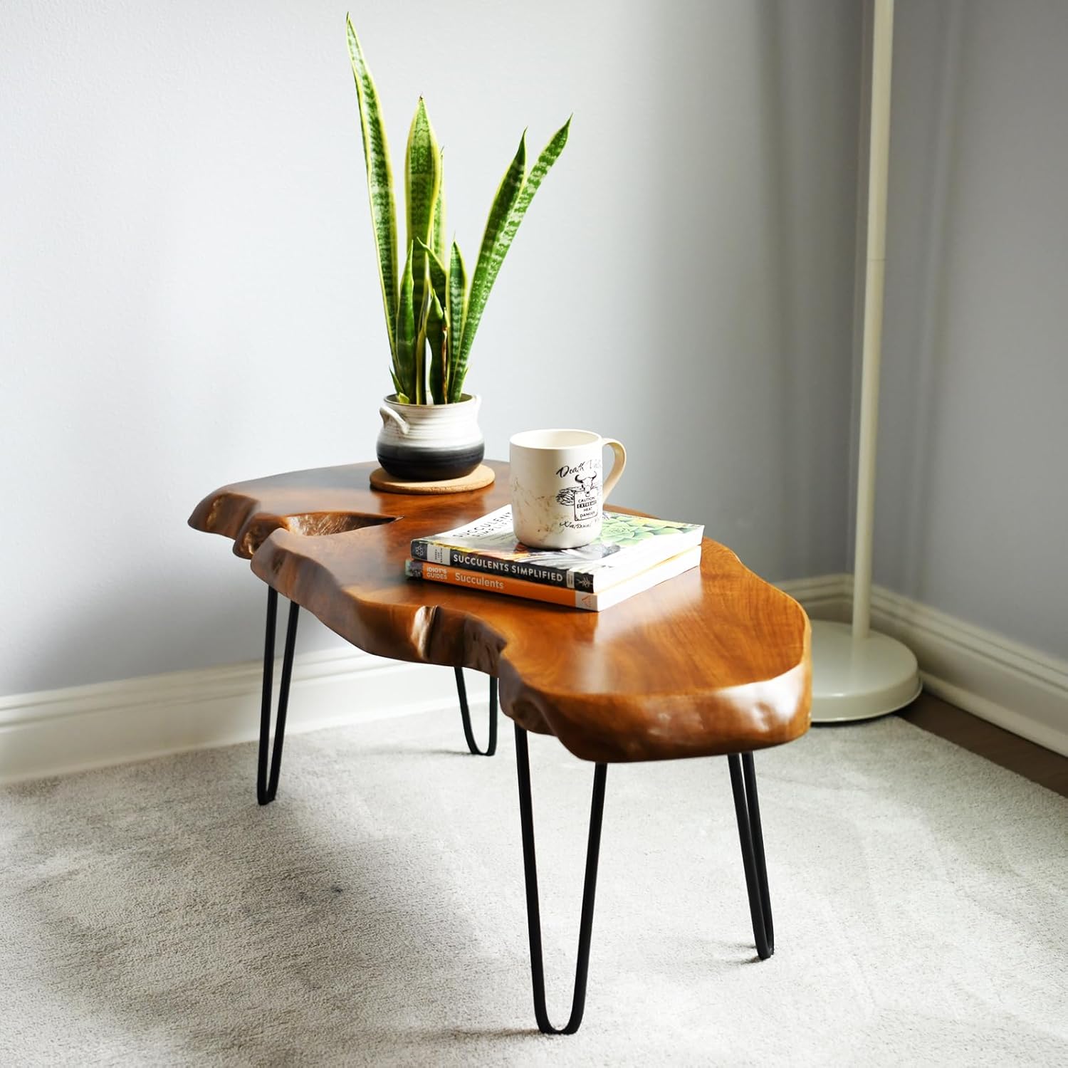 WELLAND Live Edge Natural Teak Wood Coffee Table with Metal Legs