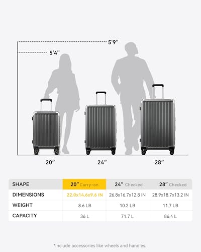 LUGGEX Aluminum Frame Luggage with Spinner Wheels, Zipperless Polycarbonate Hard Shell Carry On Luggage, 20 Inch Suitcases, Charcoal Metallic