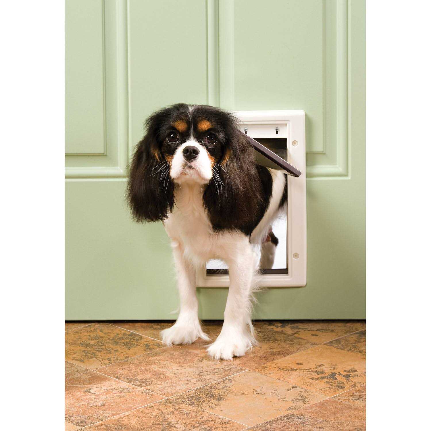PetSafe Plastic Pet Door - Pet Supplies online store
