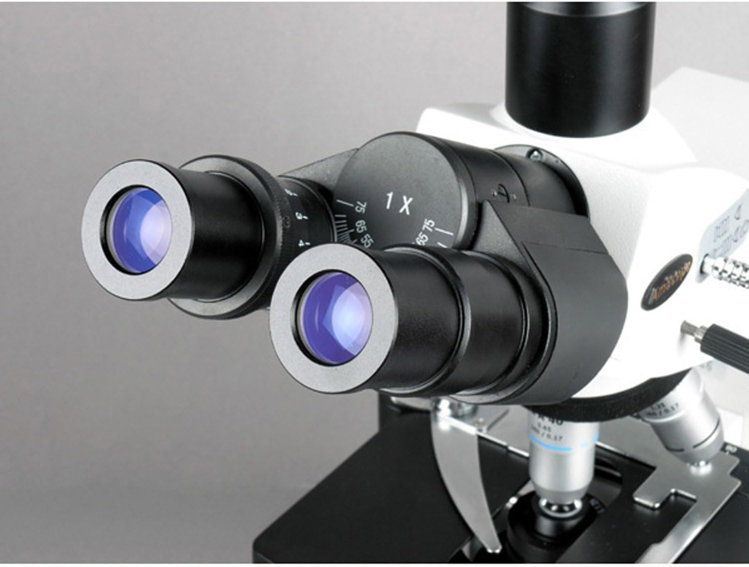 AmScope T690C-5M Digital Trinocular Compound Microscope, 40X-2500X Magnification, WH10x and WH25x Super-Widefield Eyepieces, Infinity Objectives, Brightfield, Kohler Condenser, Double-Layer Mechanical Stage, Includes 5MP Camera with Reduction Lens an