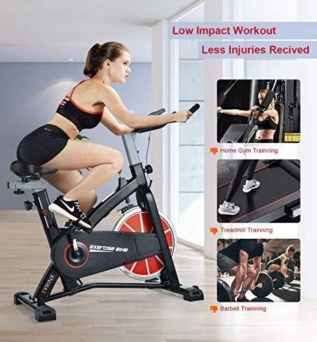 Syrinx Indoor Cycling Bike-Belt Drive Exercise Bike,Stationary Cycle Bike for Home Cardio Gym Workout (Black)