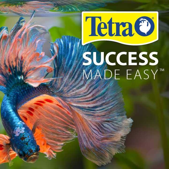 Tetra 10 Gallon Glass LED Aquarium Kit - Pet Supplies online store