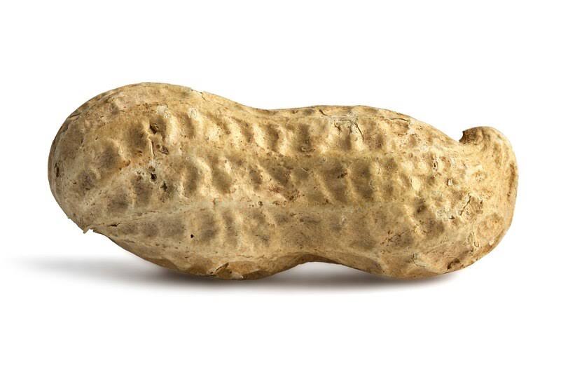 Roasted Peanuts (Salted, in Shell) - 25 Pounds - Bulk Discount