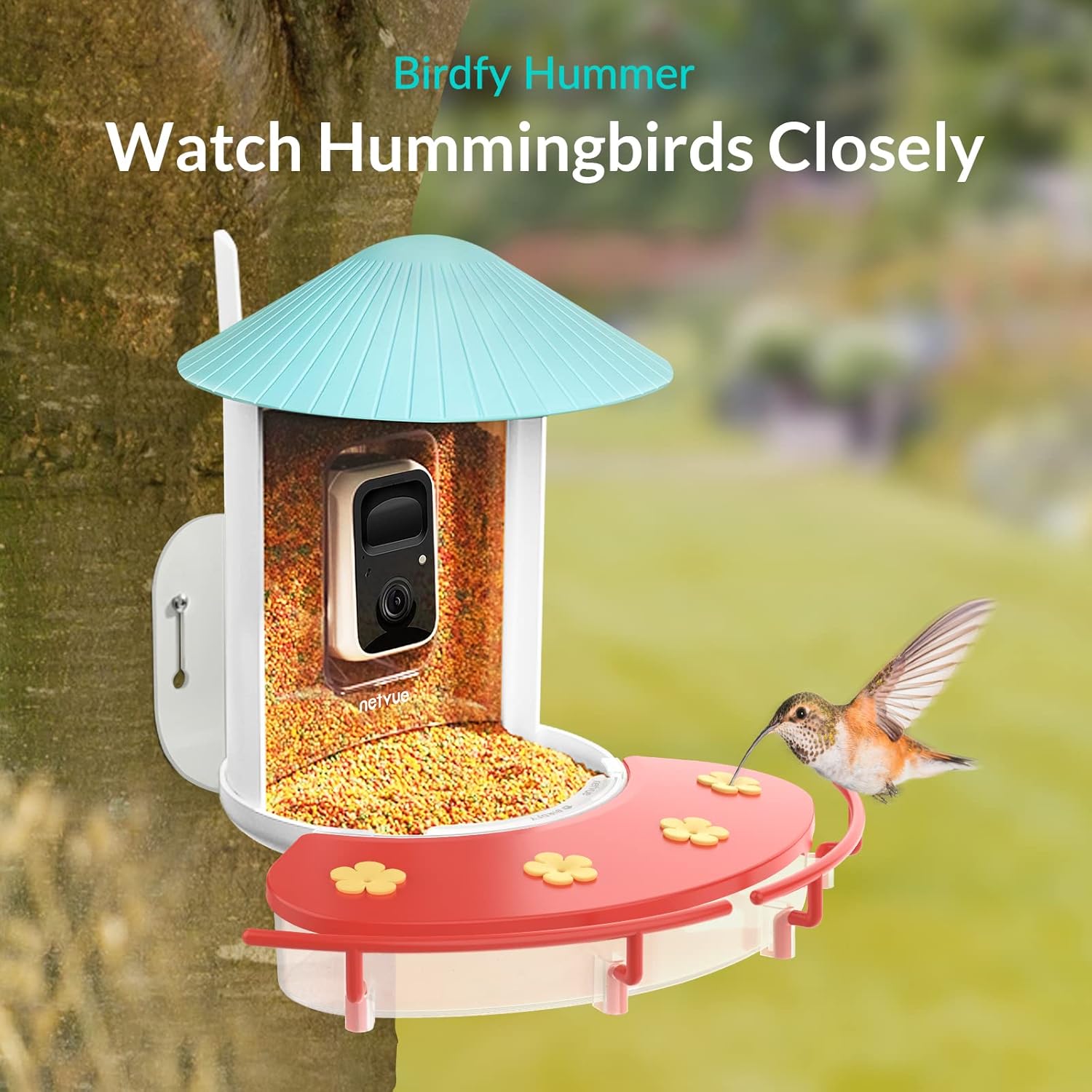 NETVUE Birdfy Solar Camera with Humming Bird Feeder Extension Perch
