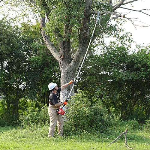 MAXTRA Pole Saw Gas Powered, 10-Inch Bar Cordless Extendable Long Trimmer Power Gasoline Chainsaw For Tree Hedge Trimming Bush Pruning