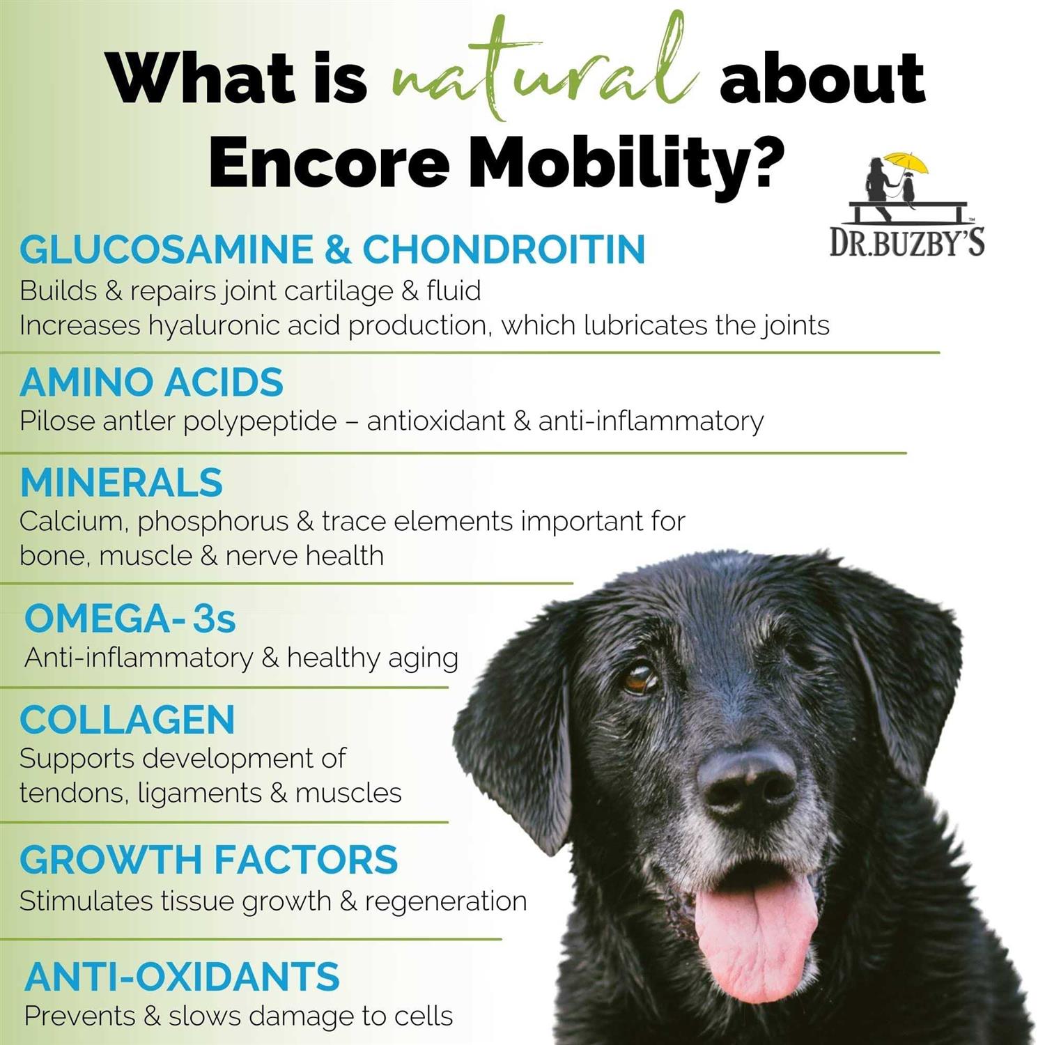 Dr. Buzby's Encore Mobility Hip &amp; Joint Supplement for Senior Dogs, 90 Chewable Tablets, Natural New Zealand Deer Velvet and Green Lipped Mussel - Pet Supplies online store