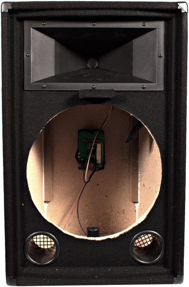 Seismic Audio SA-15T_Empty Empty 15-Inch PA/DJ Speaker Cabinet Band Live Sound