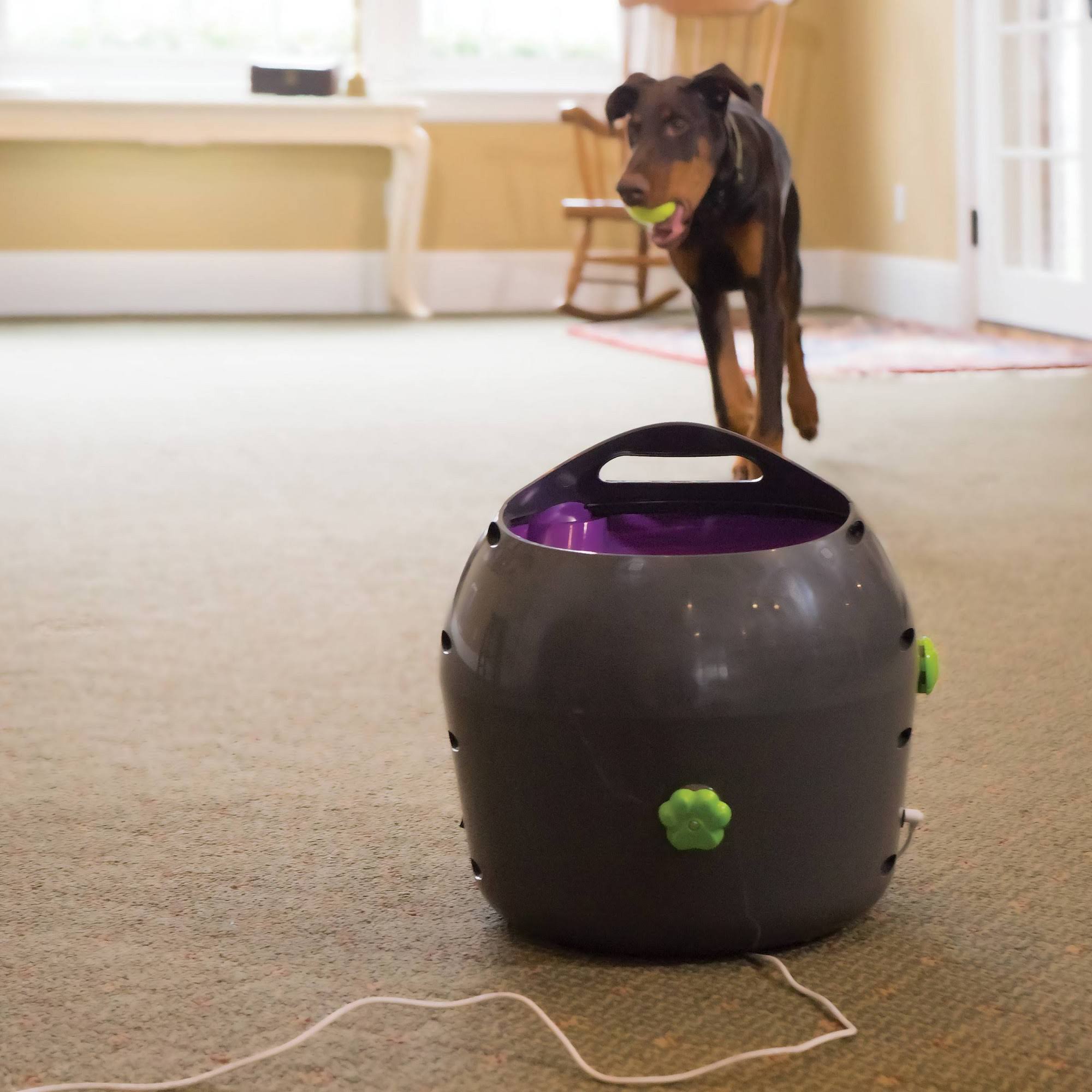PetSafe - Automatic Ball Launcher