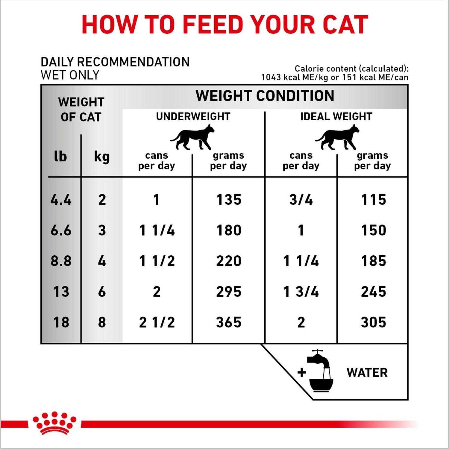 Royal Canin Veterinary Diet Adult Renal Support E Loaf in Sauce Canned Cat Food - Pet Supplies online store