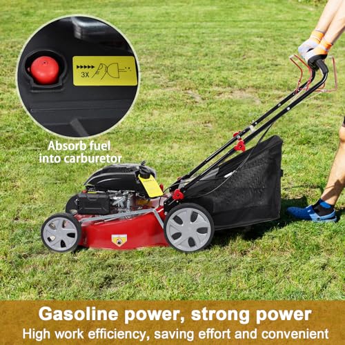 20-Inch Gas Push Lawn Mower | 141CC 4-Cycle Engine | Self Propelled Lawn Mower | Side Discharge | High Rear Wheels | 7-Position Single Wheel Height Adjustment (Red)