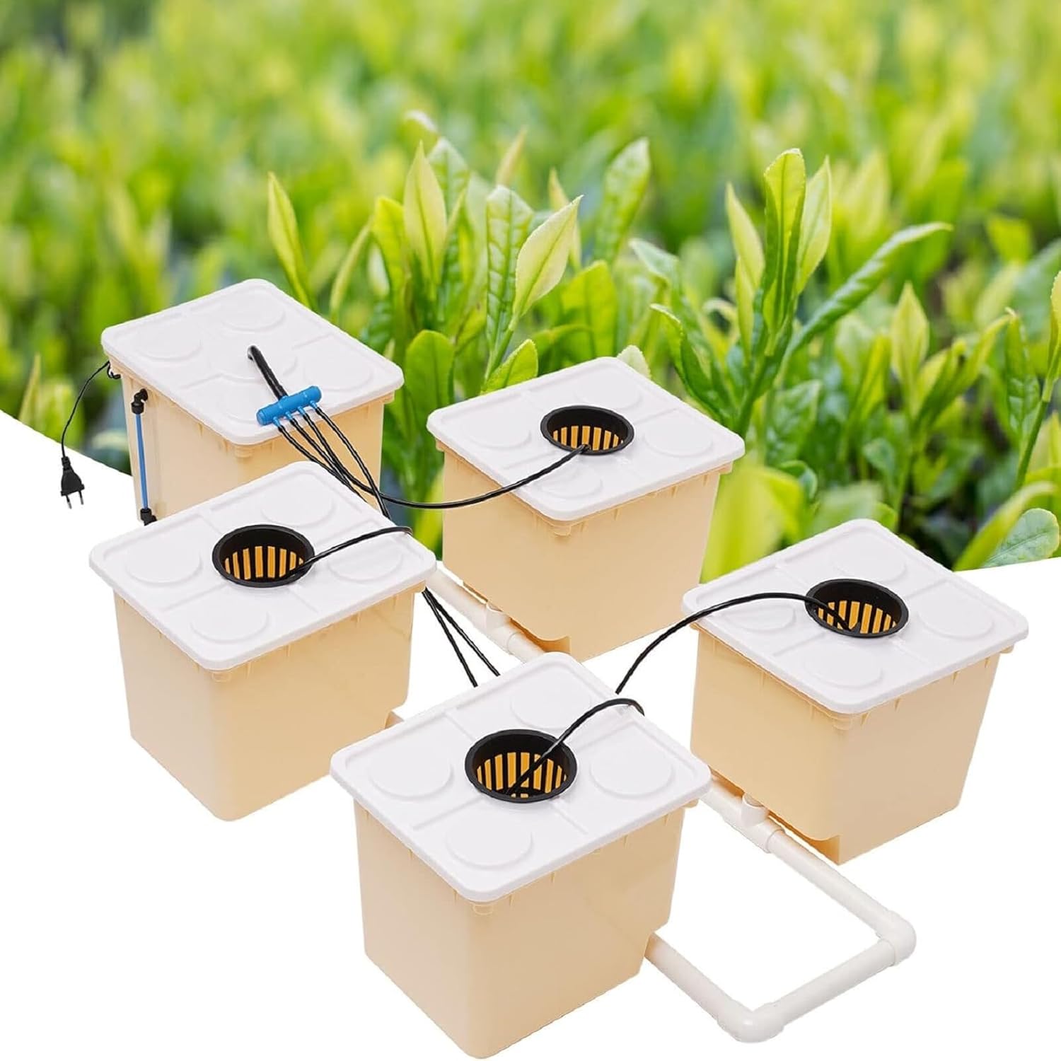 DWC Hydroponics System, 2.91 Gallon Deep Water Culture Growing System with 5 Sites Dutch Buckets and Lids, Recirculating Hydroponic Planter Kit for Cultivating Sorrel Tomatoes Peppers