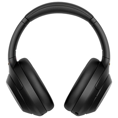 Sony WH-1000XM4 Wireless Industry Leading Noise Cancelling Over-Ear Headphones with Mic for Hands Free Calling and Alexa, Silver WH-1000XM4/S Bundle w/Case + Deco Gear Portable Charger + Gym Bag