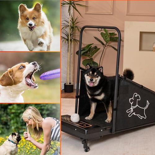 Dog Treadmill for Small and Medium Dogs, Pet Running Machine, Dog Indoor Pacer Treadmill with Remote Control, Dog Pacer Training Pad with LCD Display Screen and Remote
