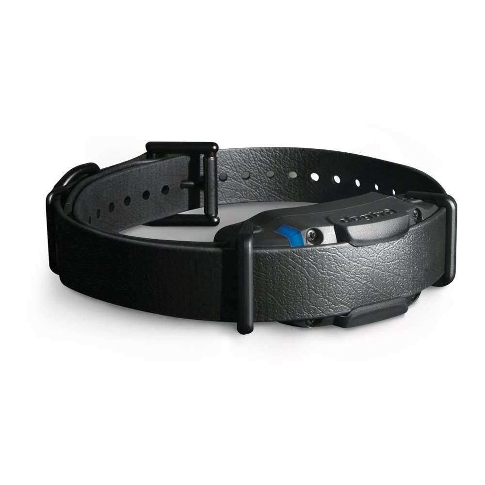 Dogtra 1900S Black Edition 1 Mile Remote Trainer - Pet Supplies online store