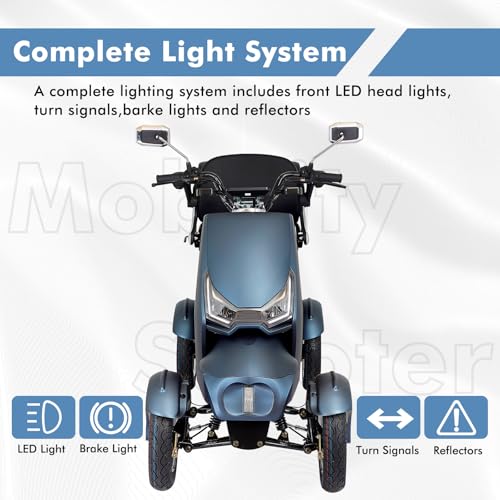 Heavy Duty 4 Wheel Mobility Scooters for Adults, 800W Powered All Terrain Mobility Scooters with Seat and Remote Control, Handicap Scooters for Seniors Outdoor Long Range Travel (Sliver)