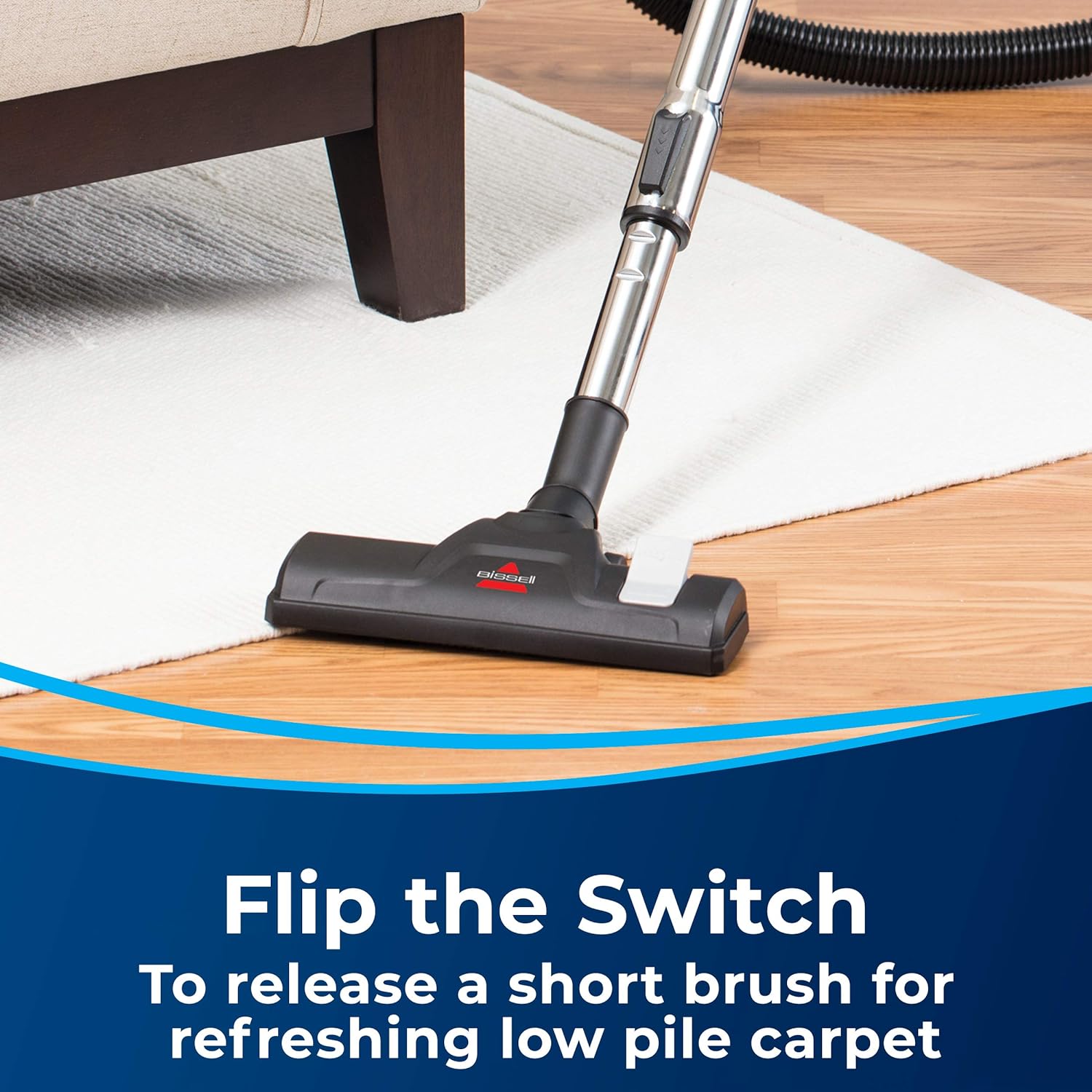 Zing II Bagless Canister Vacuum Cleaner - Multi-Cyclonic
