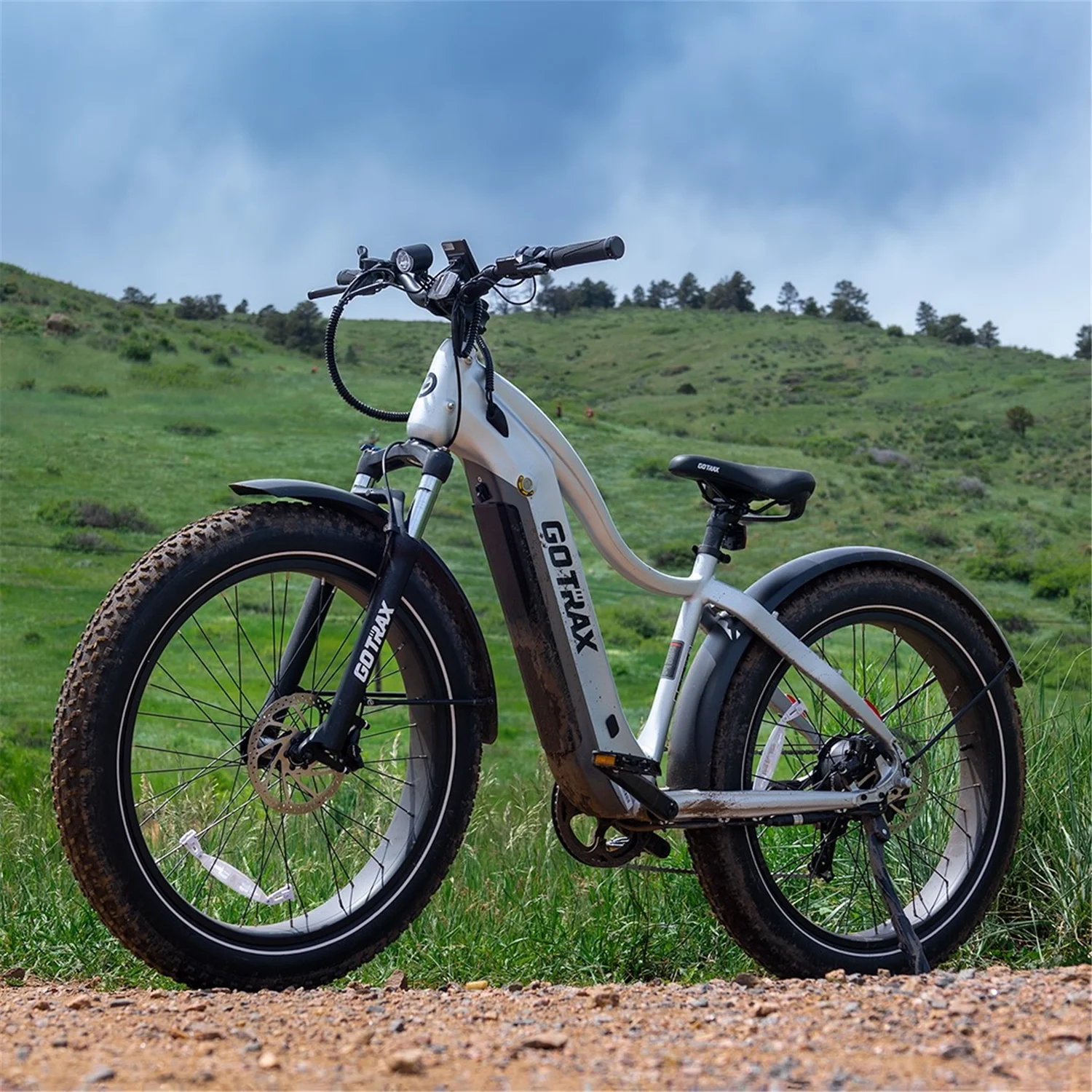 GOTRAX Tundra Electric Bike for Adults, 750W 48V 26" x 4" Fat Tire Adult Dirt Electric Bicycle, 20MPH All Terrain Electric Mountain Bike, Step over, Silver