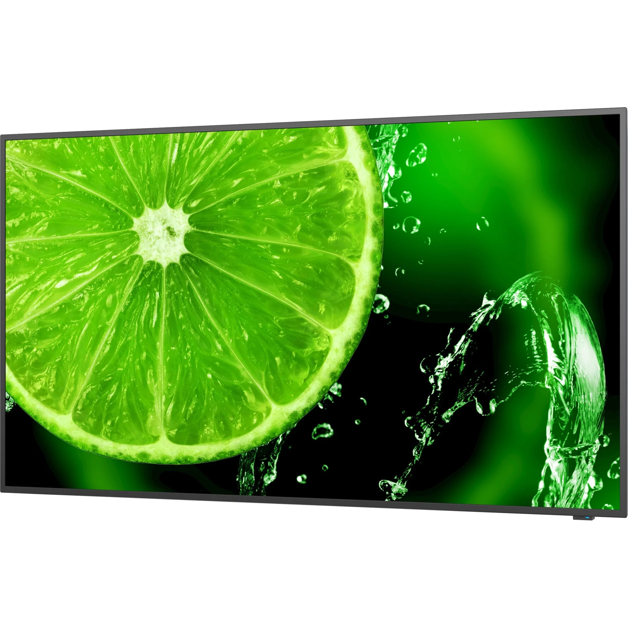 NEC Display Solutions E658 65" 4K UHD Display with Integrated ATSC/NTSC Tuner Built-in Speaker