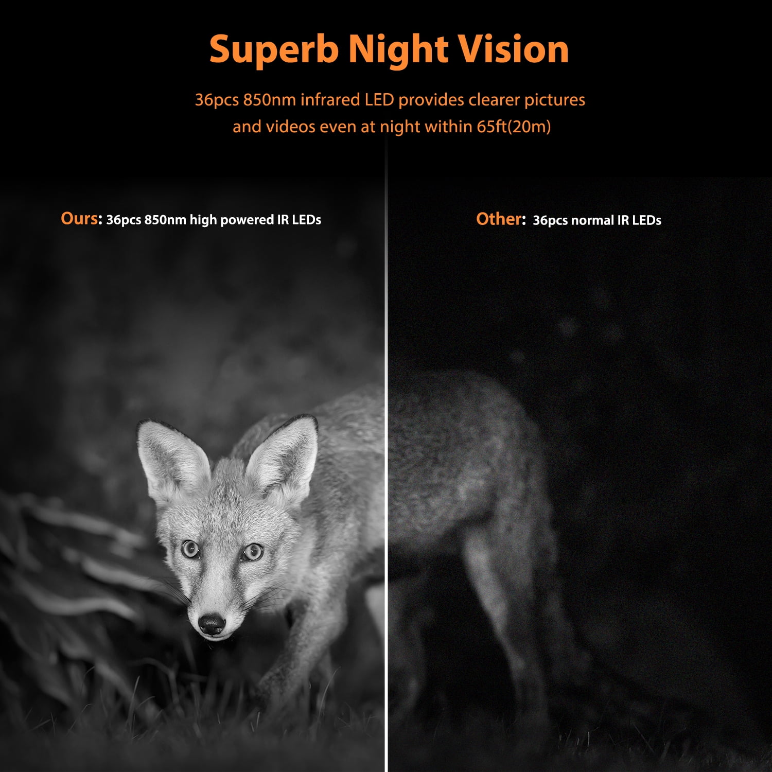 CAMPARK Solar WiFi Trail Camera Native 4K 30fps 46MP Bluetooth Game Camera with Night Vision Loop Recording Waterproof IP66 120° Motion Activated Hunting Trail Cam for Wildlife Monitoring