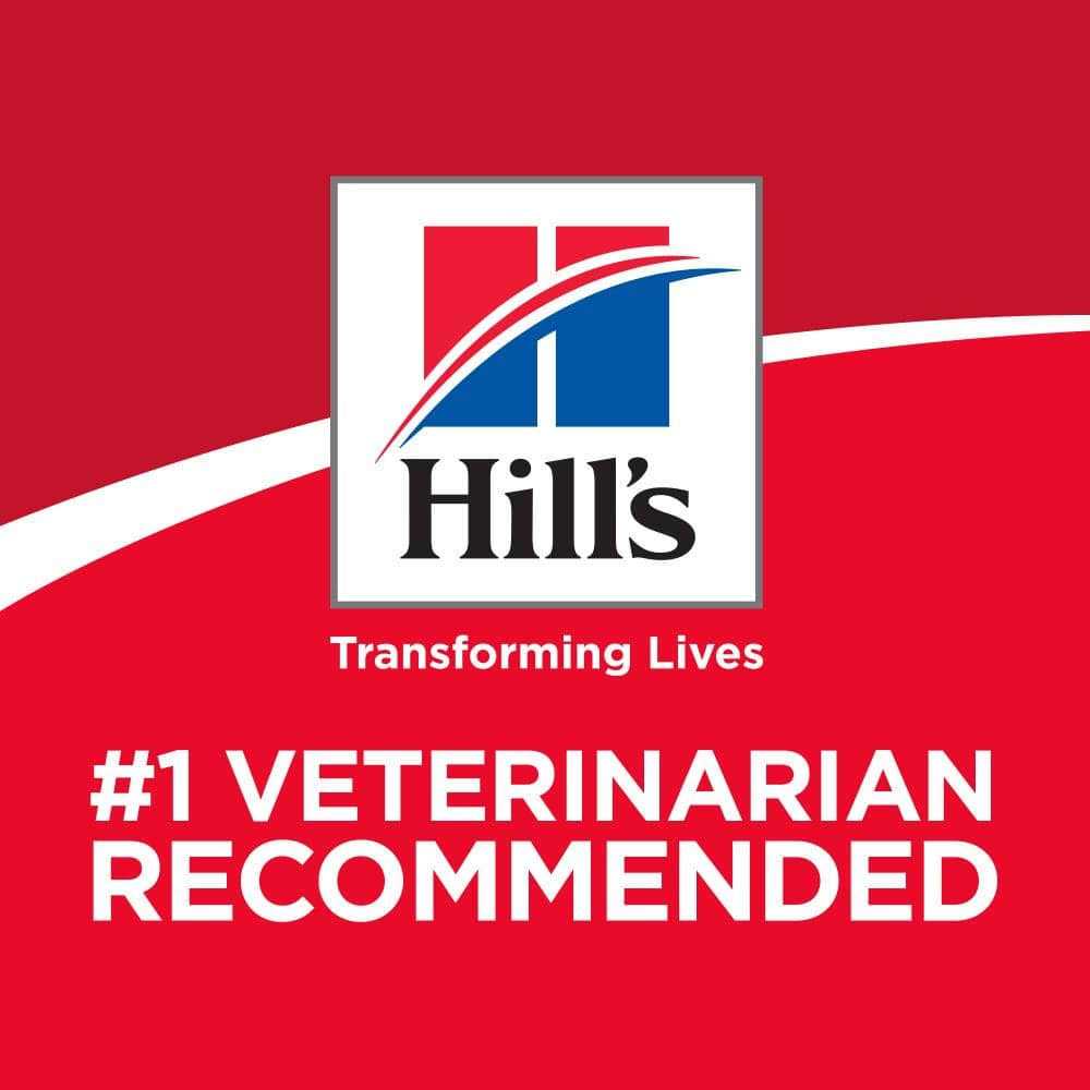 Hill's Science Diet Adult Sensitive Stomach &amp; Skin Dry Dog Food - Pet Supplies online store