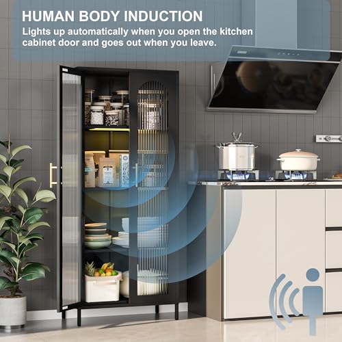 Metal Storage Cabinet, 65” Kitchen Pantry Cabinet with Glass Doors and 3 Adjustable Shelves, Display Curio Cabinet with 2 LED Lights, Black Cabinet for Home Office, Dining Room, Living Room