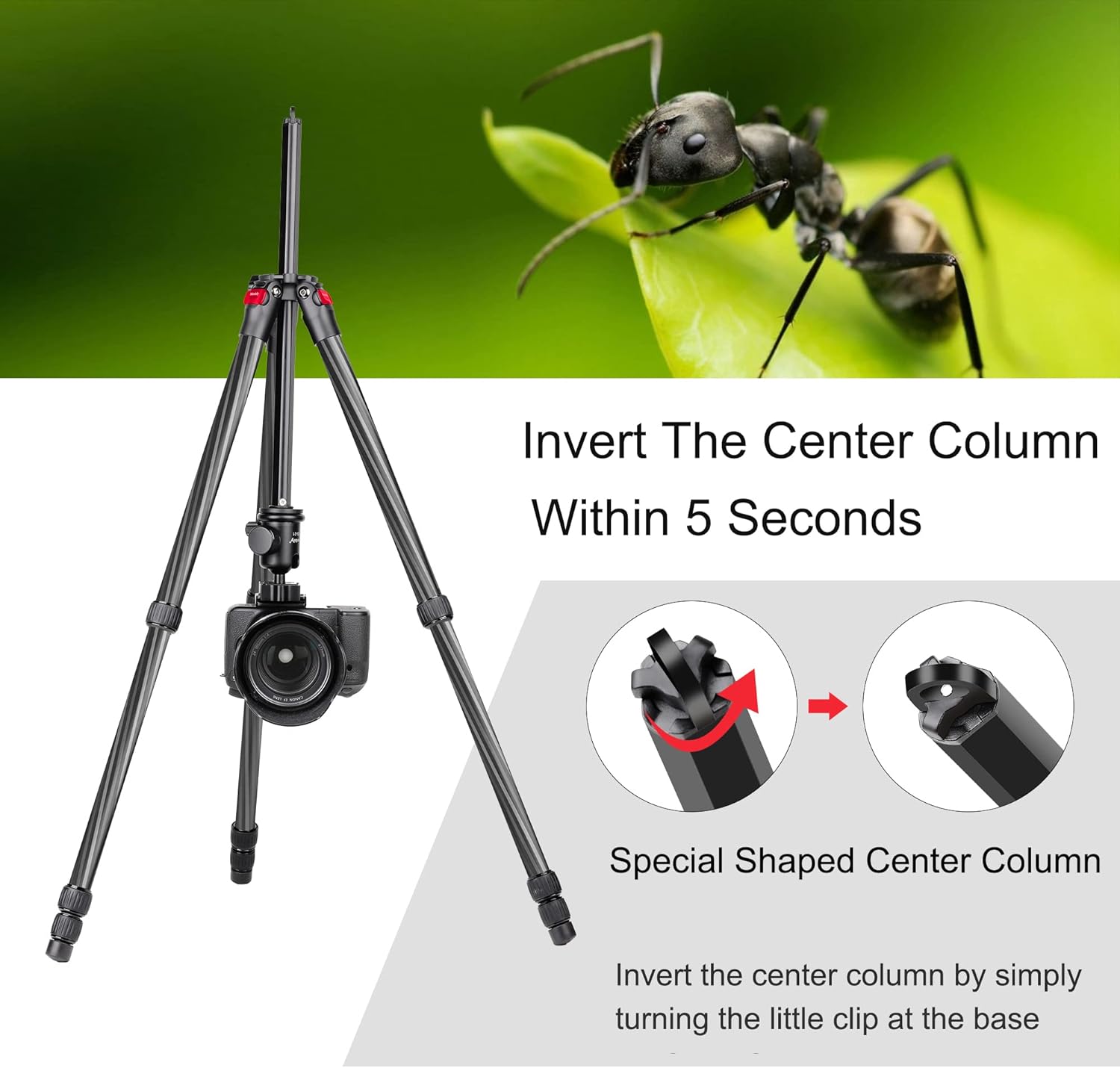Manbily 63 Carbon Fiber DSLR Camera Tripod Monopod Kit,Compact and Lightweight,360-degree Panoramic Ball Head Quick Release Plate,5 Seconds Quickly Invert The Center Column,for Travel Work(YS-254C)