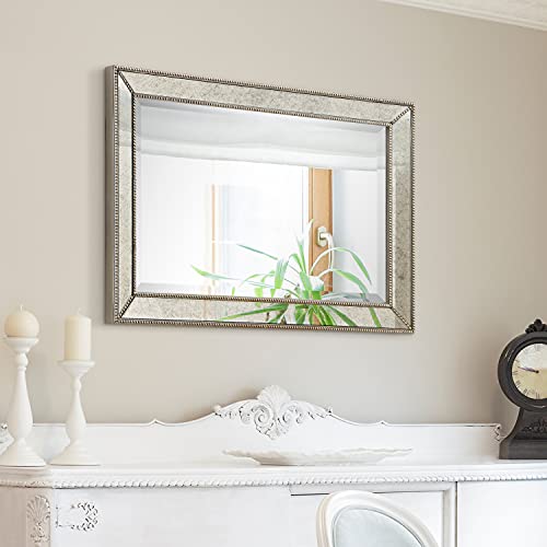 Empire Art Direct Solid Wood Frame Wall, 1"-Beveled Center Antique Mirror for Bathroom, Bedroom, Living Room, Ready to Hang, 24" x 54", Champagne