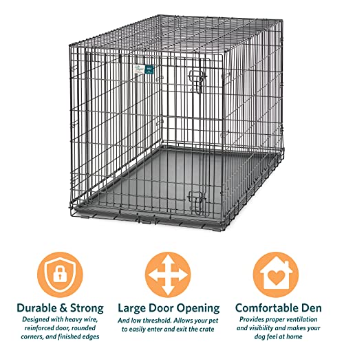 MidWest Homes for Pets XL Dog Crate | MidWest Life Stages Folding Metal Crate | Divider Panel, Floor Protecting Feet, Leak-Proof Pan | 48L x 30W x 33H Inches, XL Dog Breed