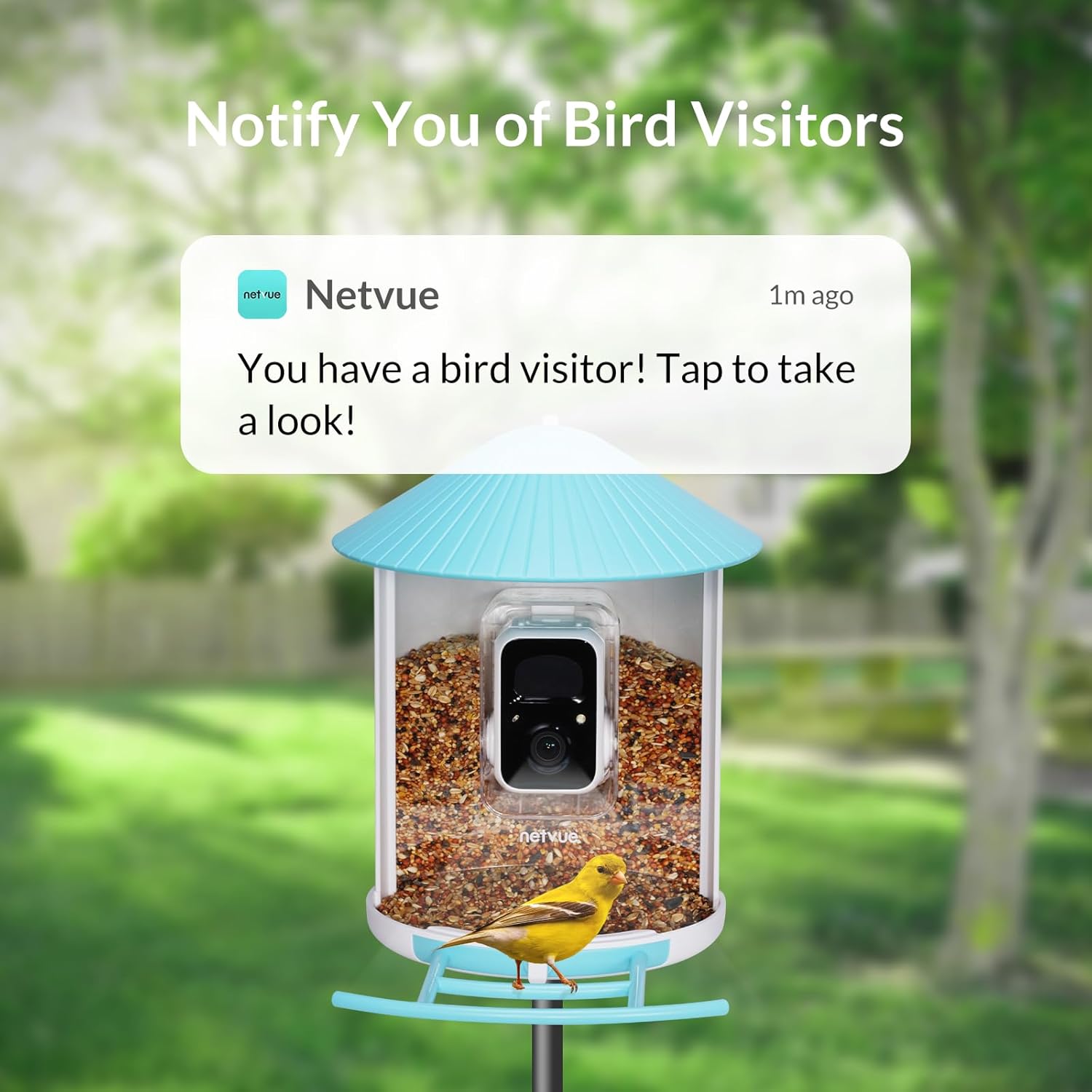 NETVUE Smart Bird Feeder with Camera, Auto Capture Bird Video & Notify, Battery Powered Wireless Outdoor Bird Watching Camera, Ideal Gift for Bird Lover