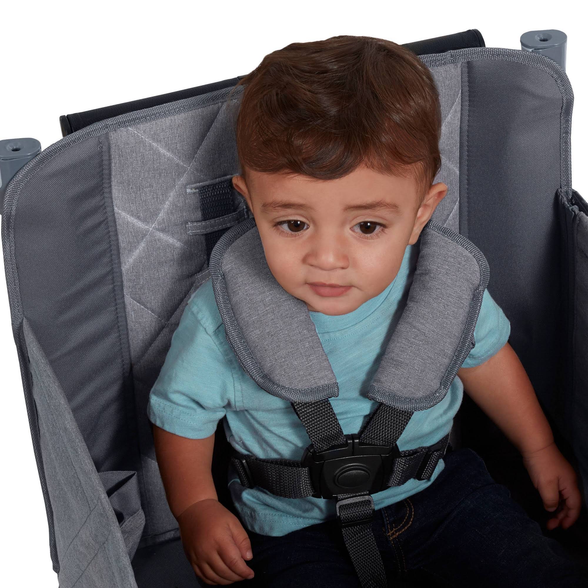 Radio Flyer Odyssey Stroller Wagon, Baby Stroller Wagon with Canopy and Bag, Grey