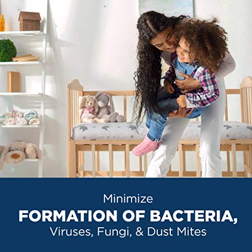 Humidifier