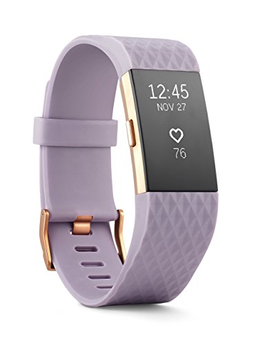 Fitbit Charge 2 Heart Rate + Fitness Wristband (Renewed)