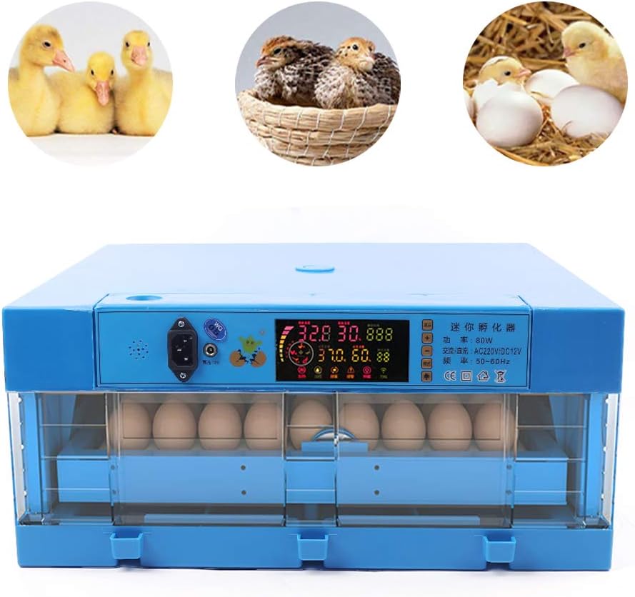 Egg Hatching Incubator 64 Eggs Automatic Egg Incubator Fully Automatic Digital Poultry Brooding Machine, Temperature Humidity Control & Automatic Egg Turner, for Chicken, Ducks, Birds & More