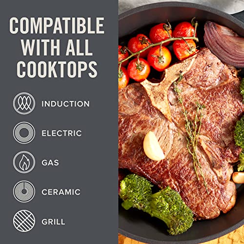 Dash Zakarian Nonstick Cast Iron Skillet with Pour Spouts for Searing, Baking, Grilling, Roasting and More