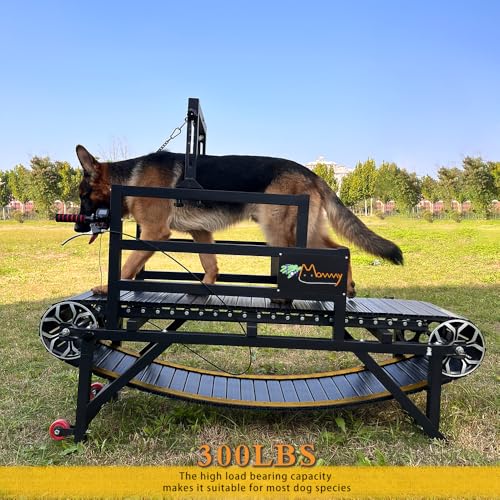 Dog Treadmill with Disc Brake, Resistance Adjustment, Paw-Friendly PE Slatmill & Speedometer - Heavy Duty Dog Treadmill for Large & Medium Dogs, Supports Up to 300 lbs, Easy to Move