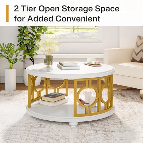 2-Tier Coffee Table, Modern Round Center Table with Storage Shelf for Living Room