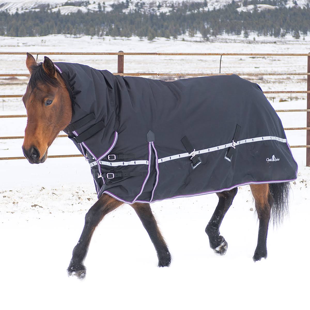 Classic Equine 10k Cross Trainer Horse Blanket with Hood - 543680