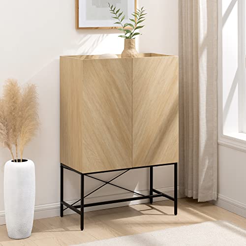 Walker Edison Livv Contemporary 2-Door Tall Accent Cabinet, 47 Inch, Dark Walnut