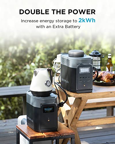 EF ECOFLOW Solar Generator DELTA2 with 220W Solar Panel, LFP(LiFePO4) Battery, Fast Charging, Portable Power Station for Home Backup Power, Camping & RVs