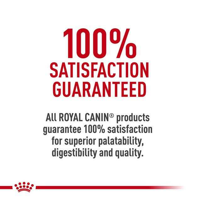 Royal Canin Veterinary Diet Urinary SO Moderate Calorie Morsels in Gravy Canned Wet Dog Food - Pet Supplies online store