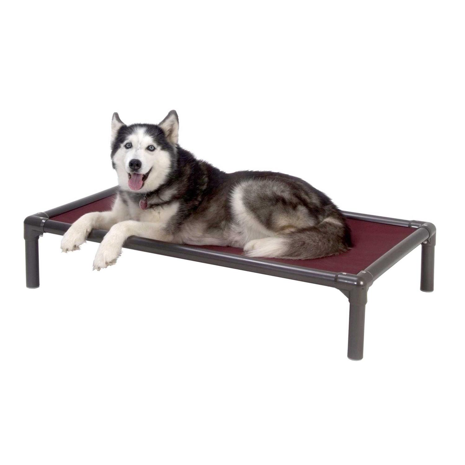 Kuranda Walnut PVC Chewproof Dog Bed - Pet Supplies online store