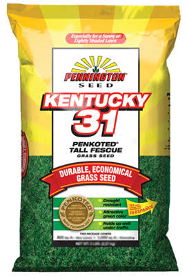 Pennington 100516055 Kentucky 31 Tall Fescue Grass Seed 25 lb