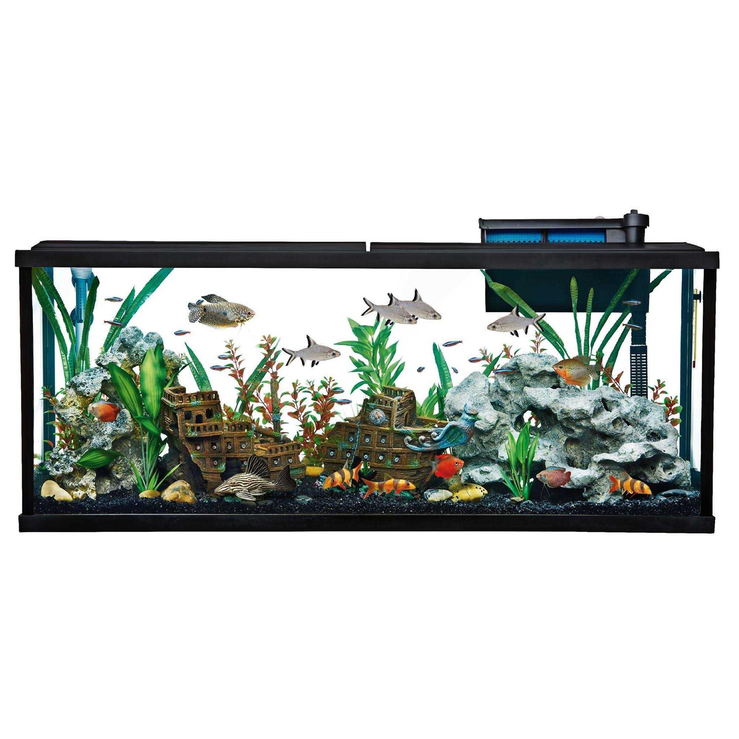 Top Fin Essentials Aquarium Tank Starter Kit