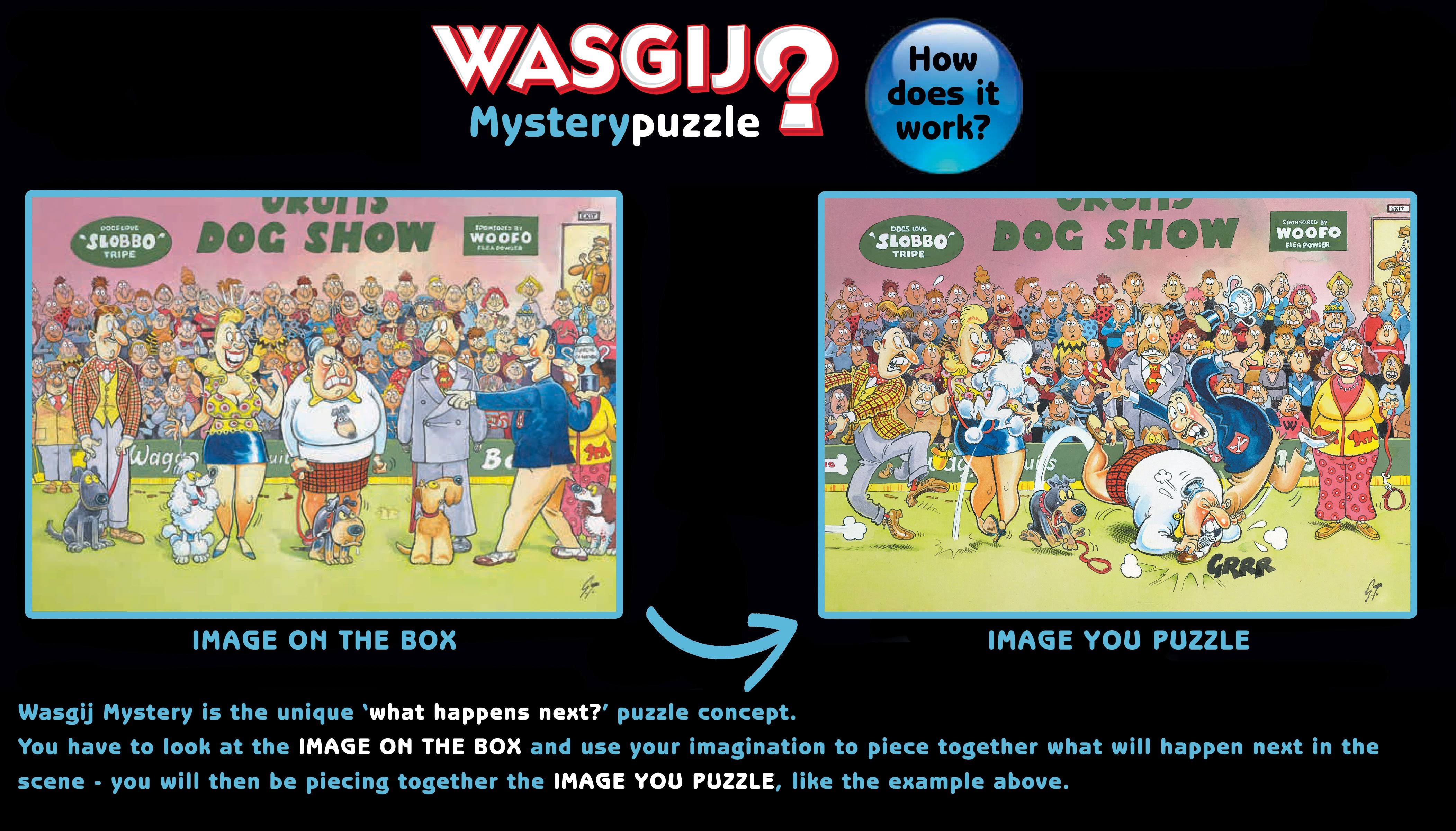 Wasgij 19163 Mystery 15 A Typical British BBQ Jigsaw Puzzle